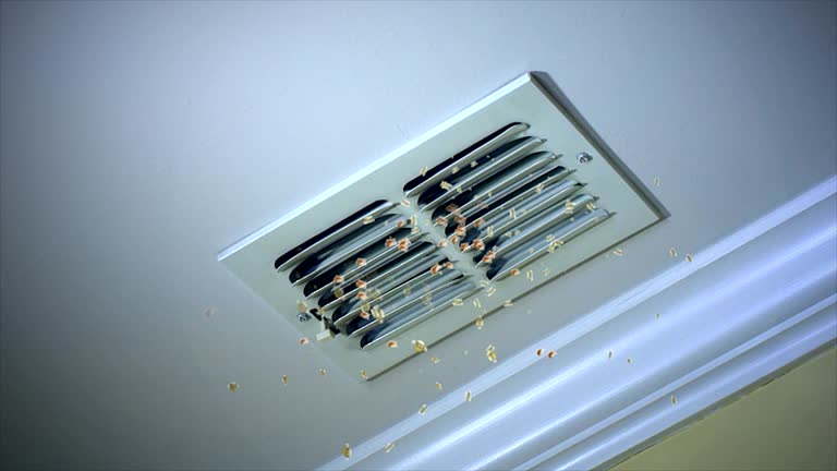 Best Dryer Vent Cleaning Services  in Yalaha, FL
