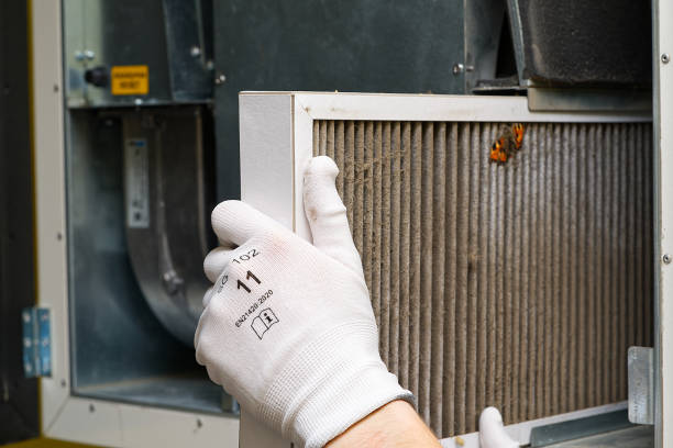 Best Air Vent Cleaning Services  in Yalaha, FL