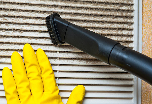 Best HVAC System Cleaning  in Yalaha, FL
